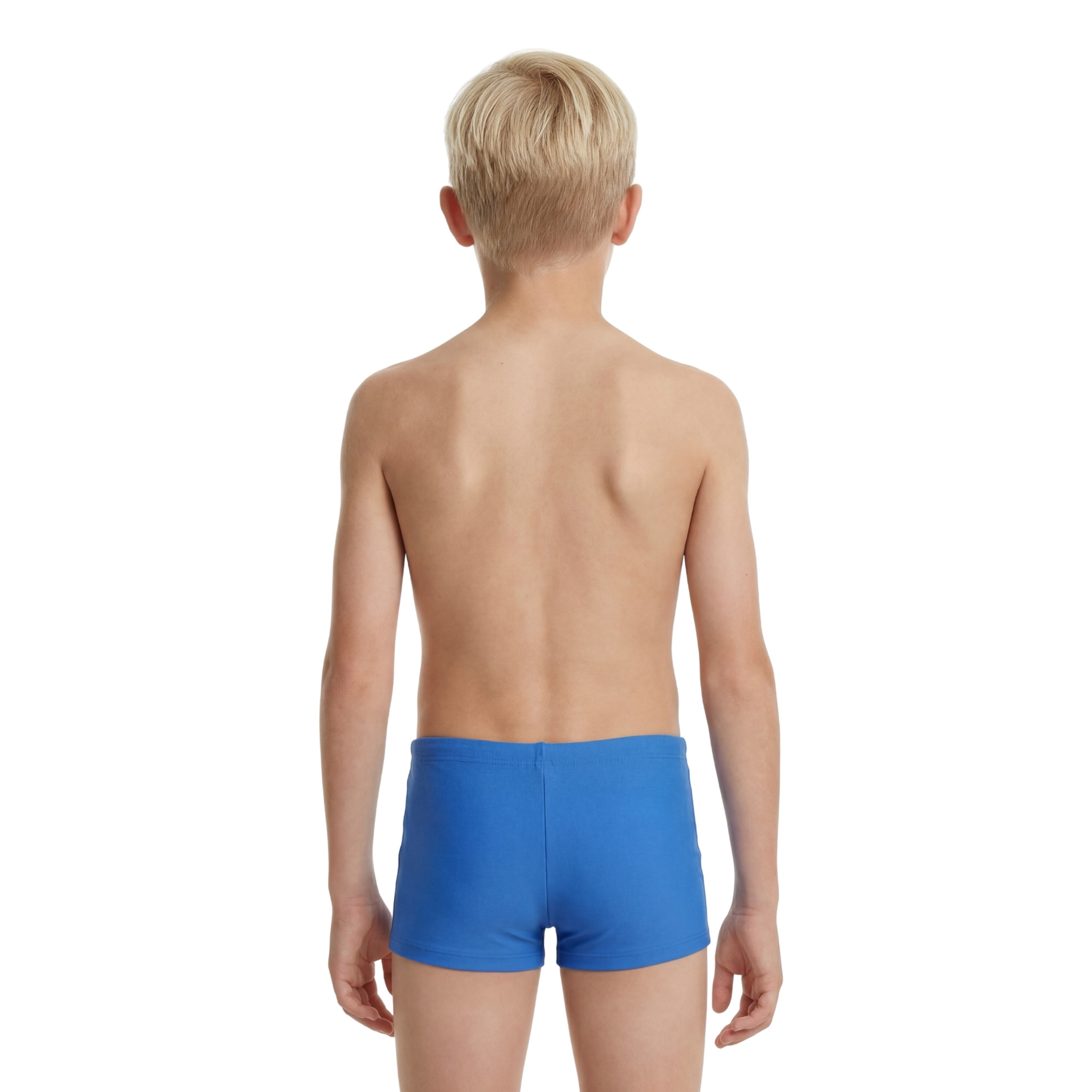 BERTY AN-Royal blue - 2