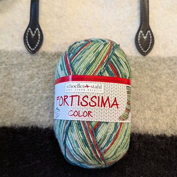 Fortissima Christmas  003