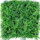 Jardin vertical Wall Plate