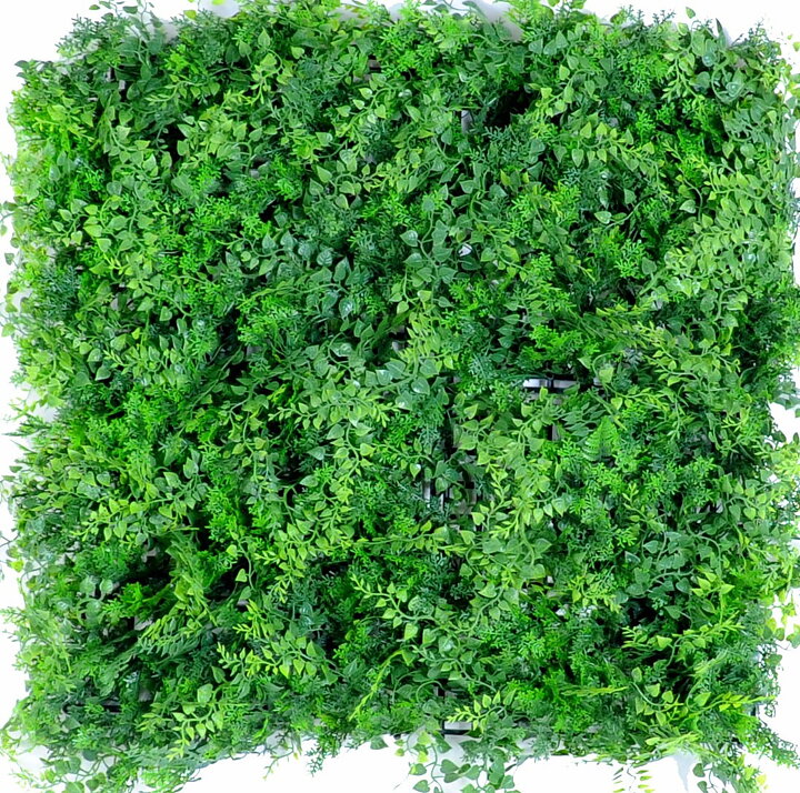 Jardin vertical Wall Plate