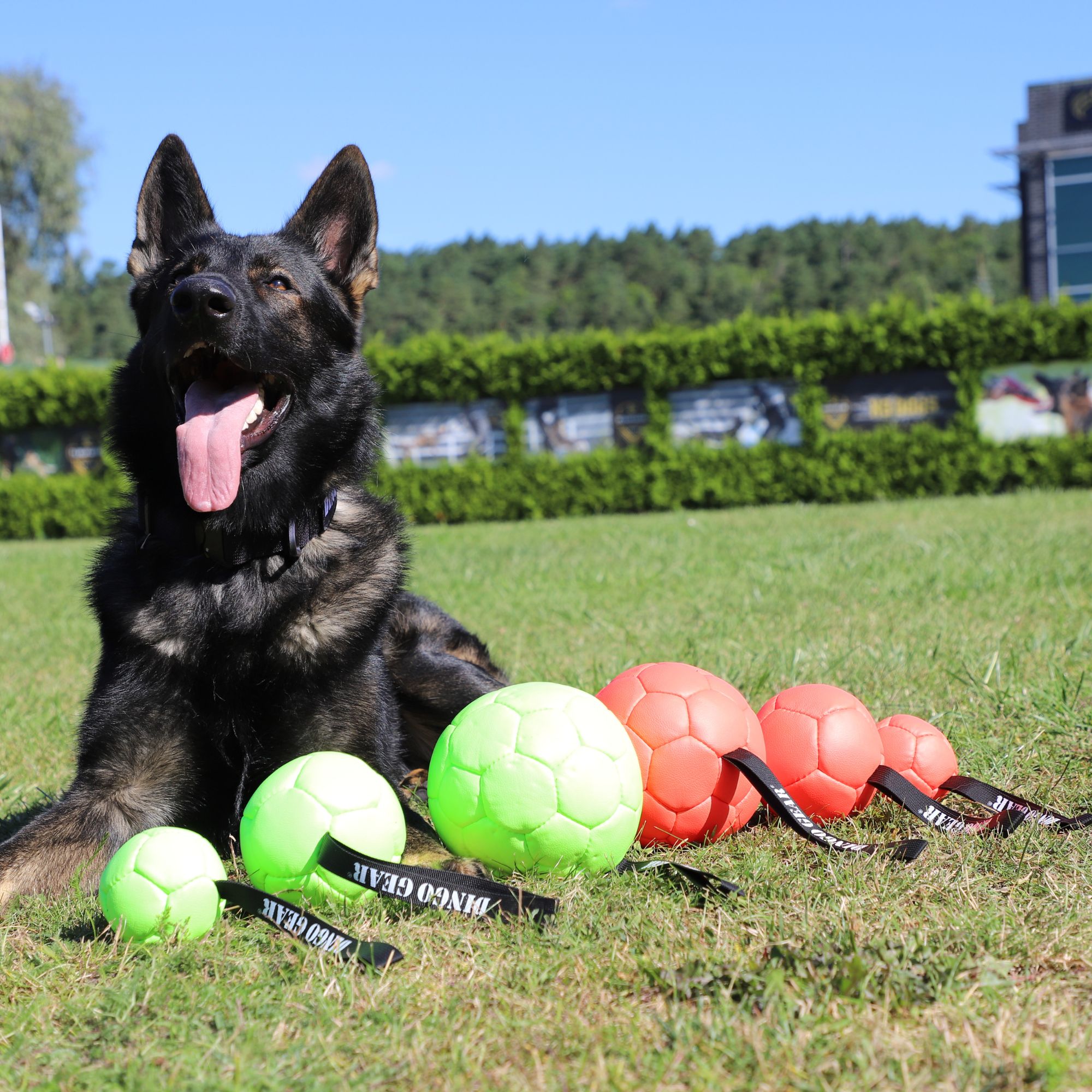 Dingo Gear Filled Eco-Leather Ball with Handle - Neon Green - Dog Toy - User-Friendly