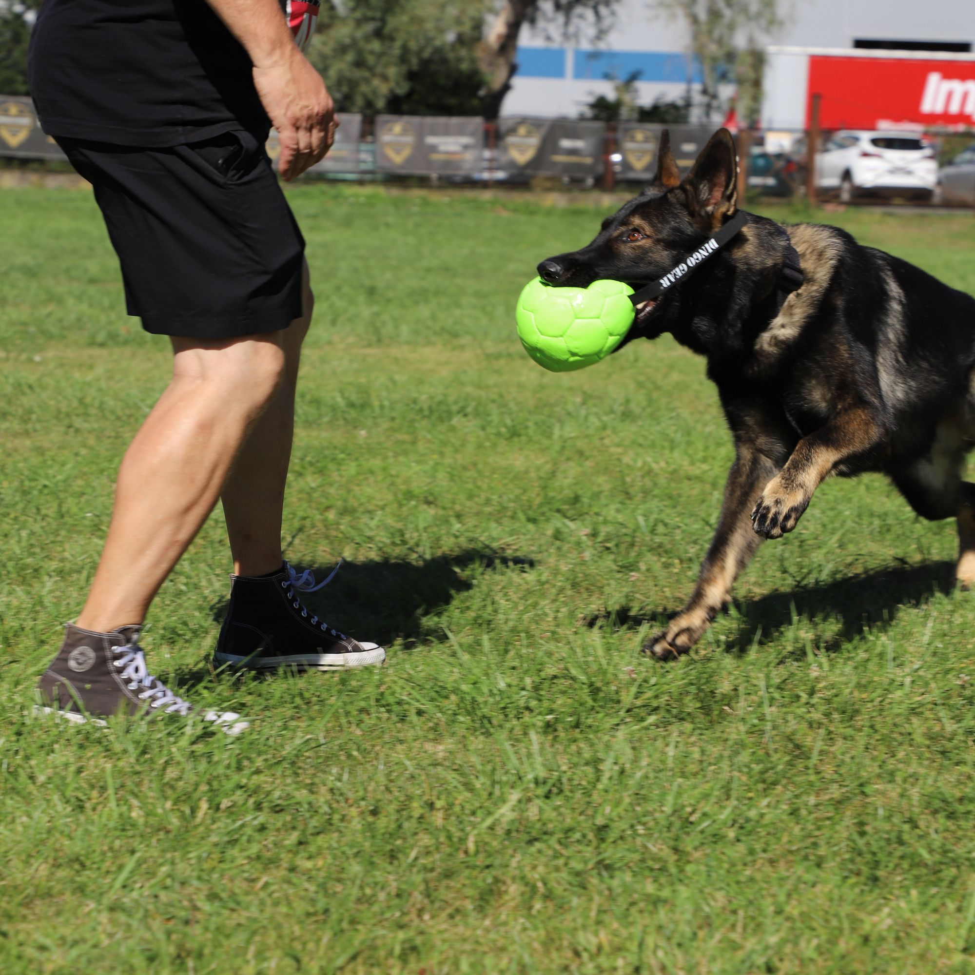 Dingo Gear Filled Eco-Leather Ball with Handle - Neon Green - Dog Toy - User-Friendly - Easy to Carry