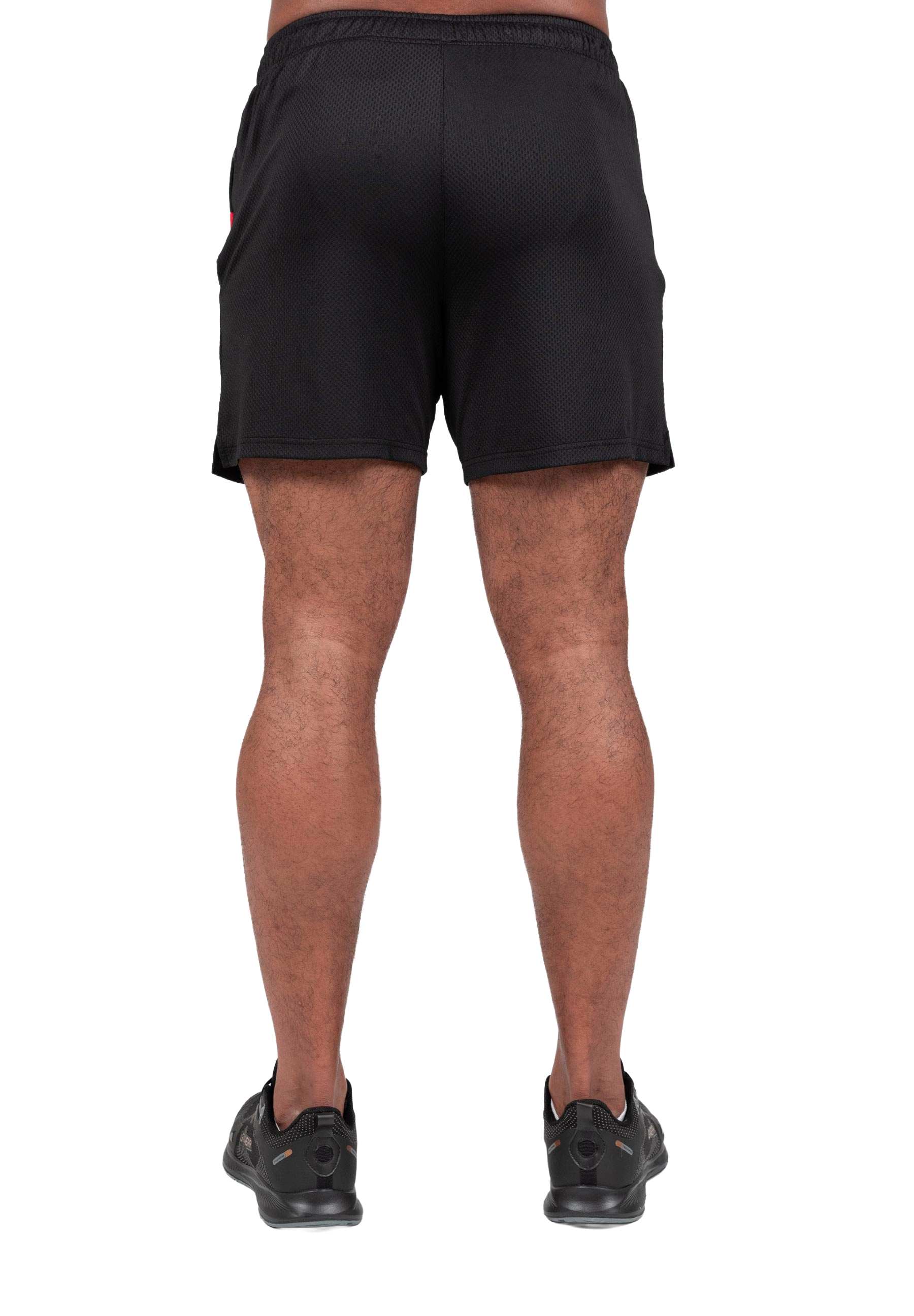 Miles Mesh Shorts, black - 6