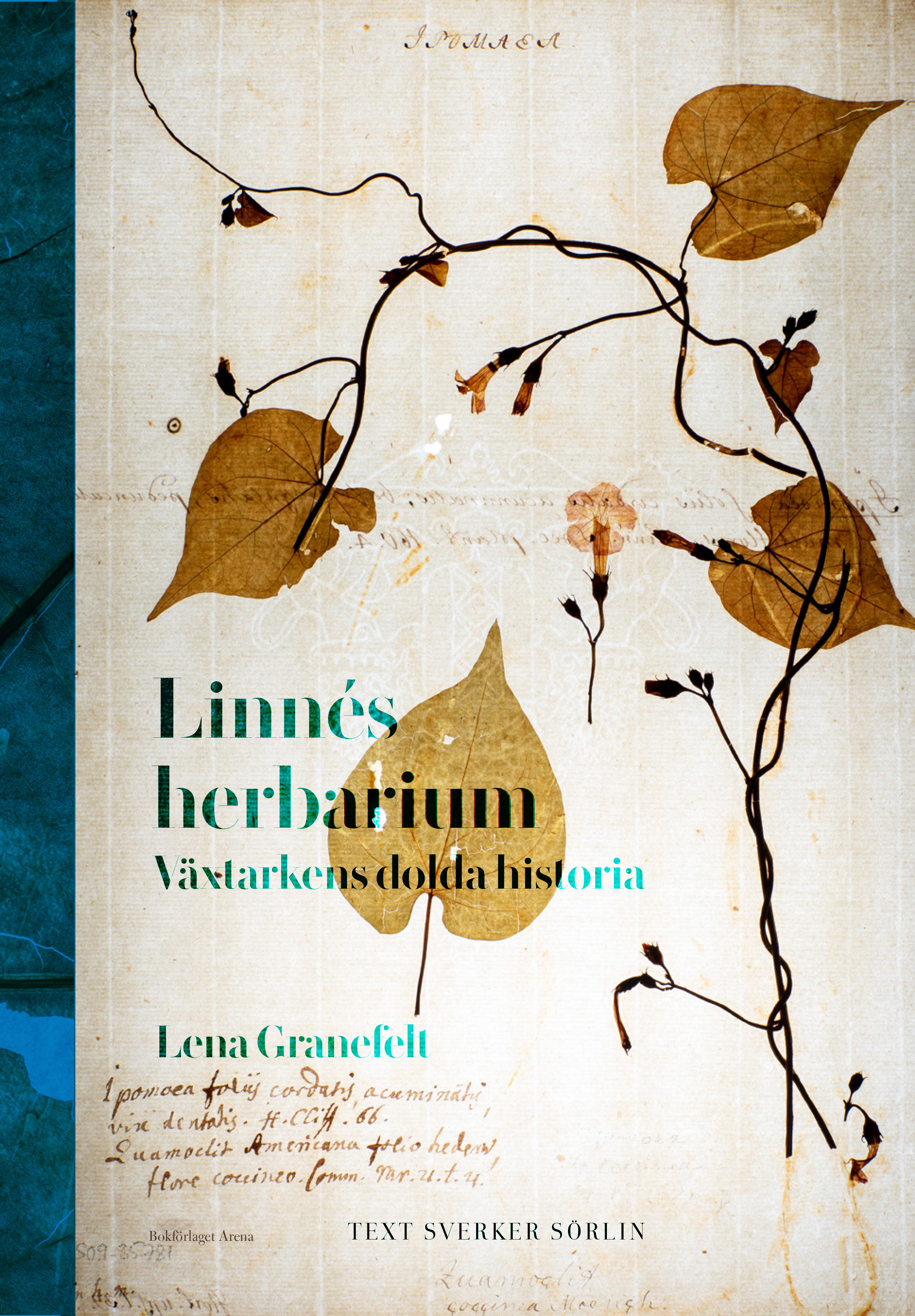 Lena Granefelt - Linnés herbarium