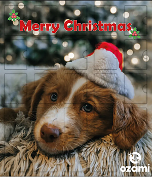 Ozami Adventskalender Hund