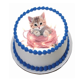 Kakebilde Katt 4 R