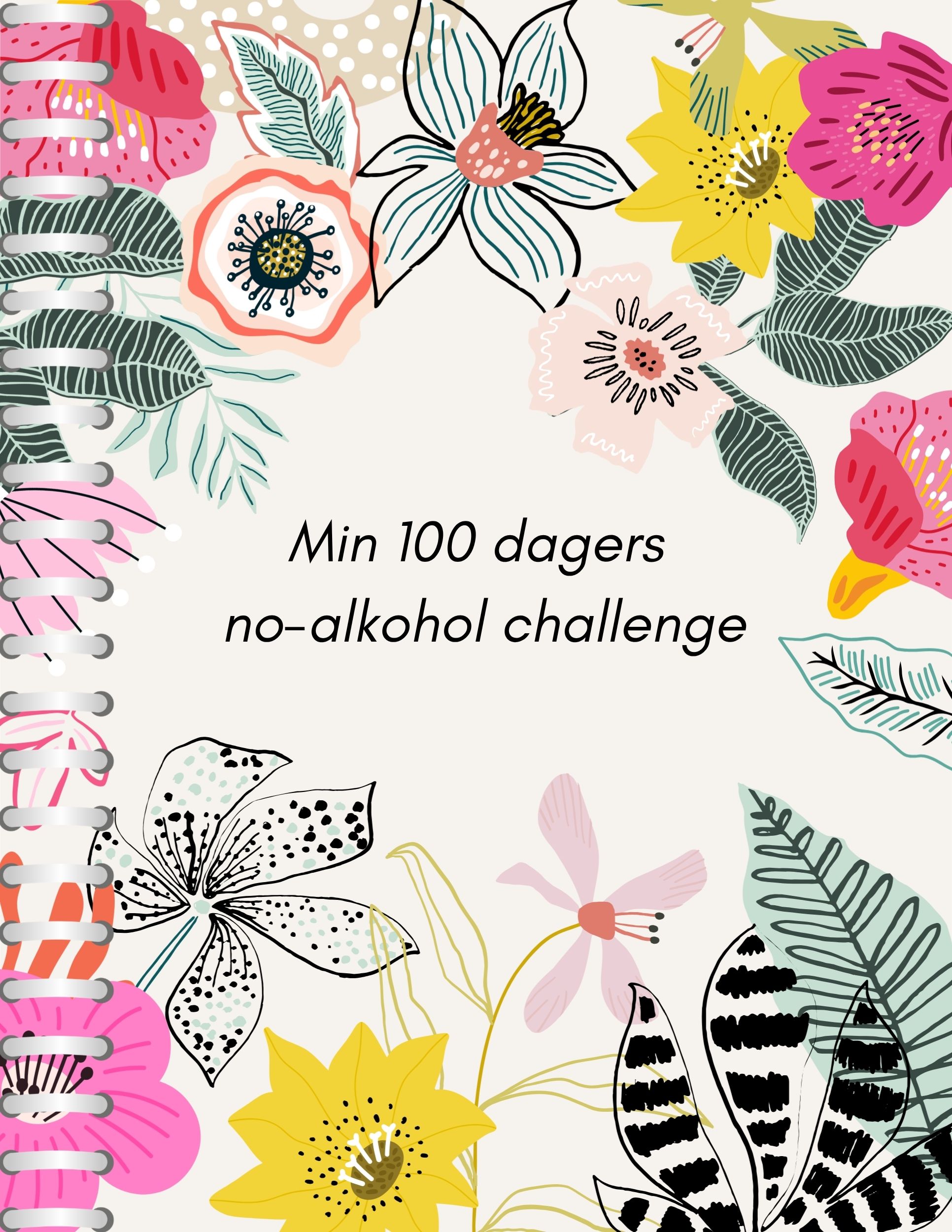 100 Dager Uten Alkohol Challenge  - 2