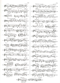 Chopin - Mazurkas