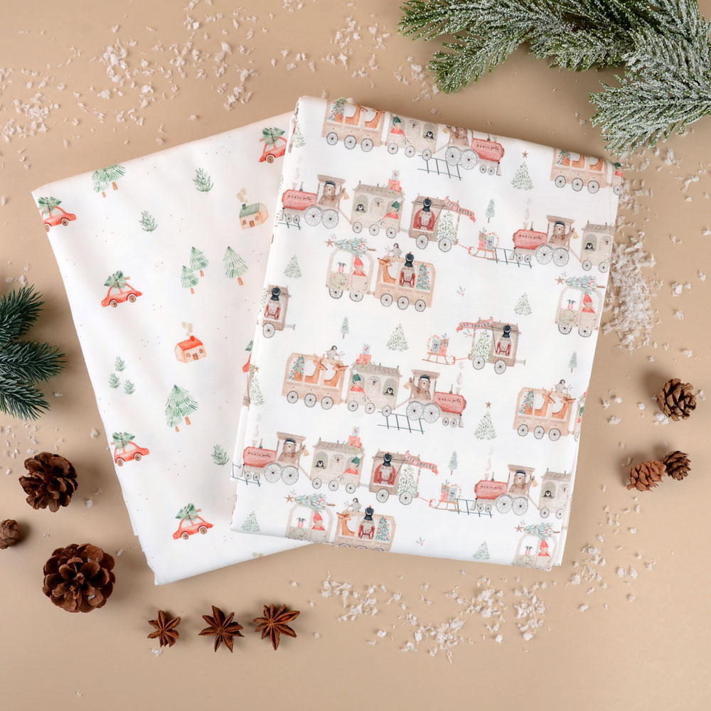 TO NORTH POLE - 6