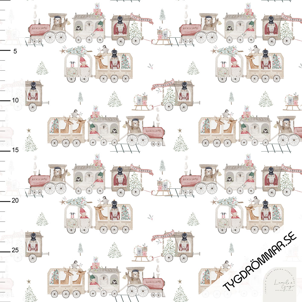 TO NORTH POLE