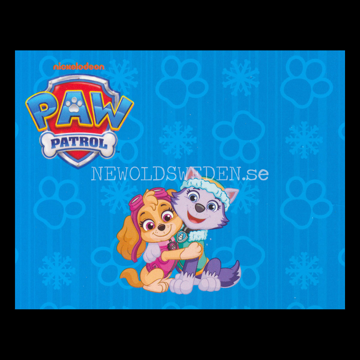 MARSHALLS Labyrinter- PAW PATROL MINIBÖCKER - MB280 - 6 - 3