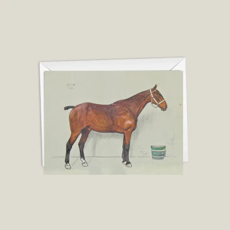 Greeting Card Nimrod Paper Horse Motif Curly