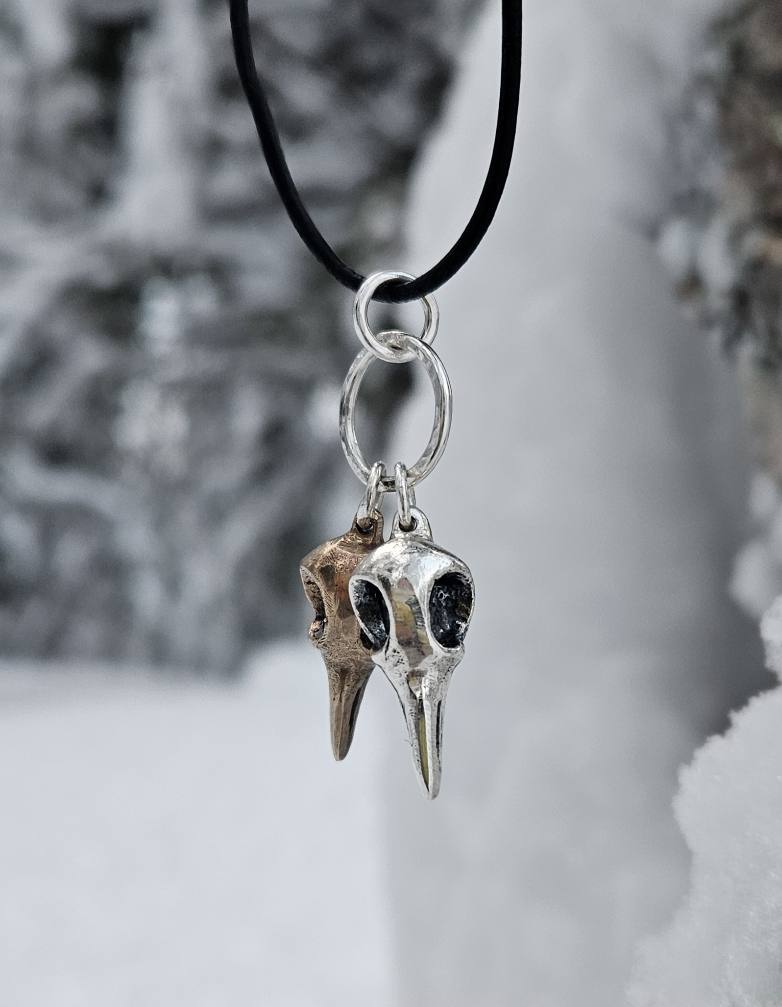 Korparna - Hugin och Munin