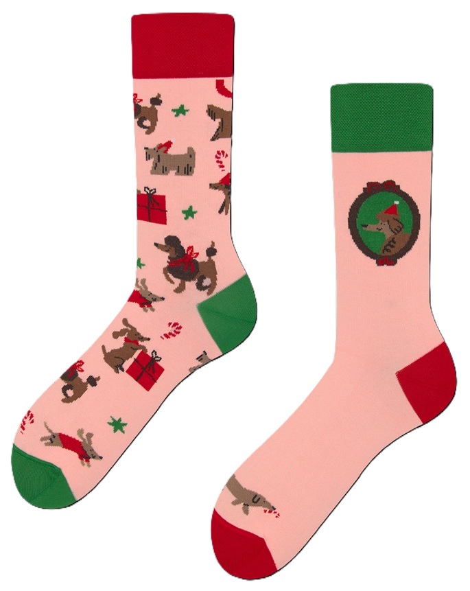 Many Mornings Winter Woofs