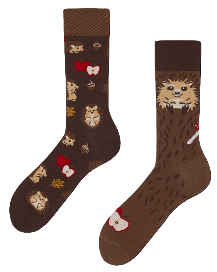 Many Mornings Happy Hedgehog