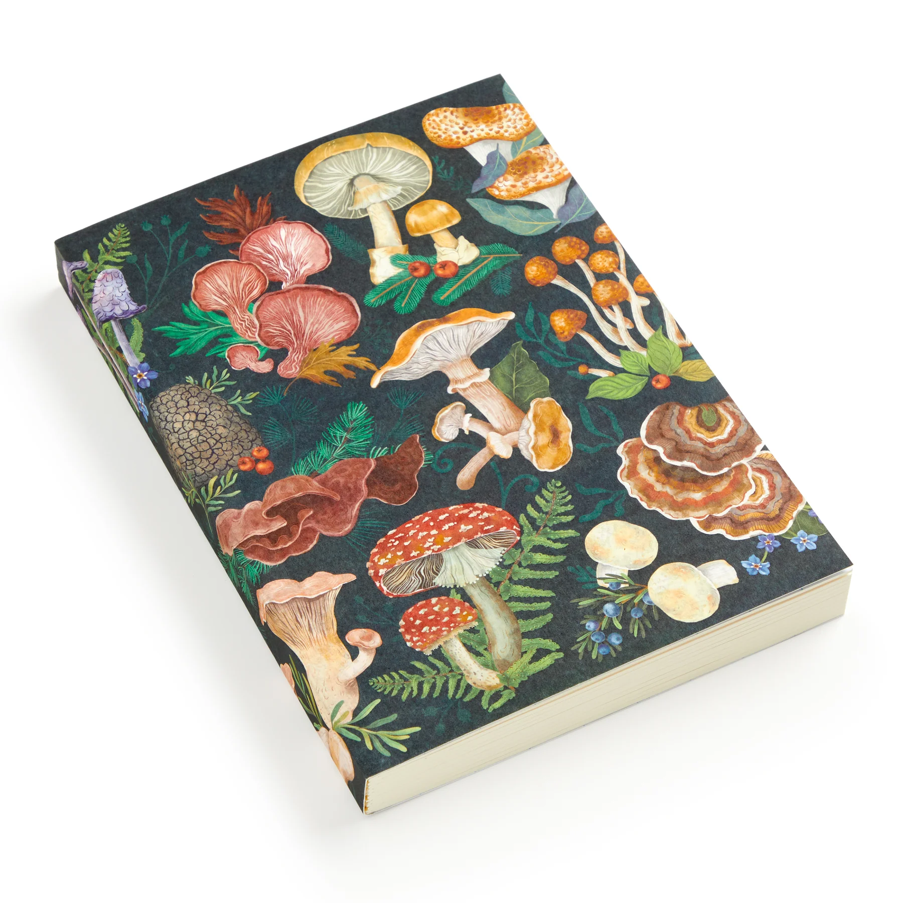 World of Mushrooms Premium A5 Notebook (Notebook/Sketchbook) - 4