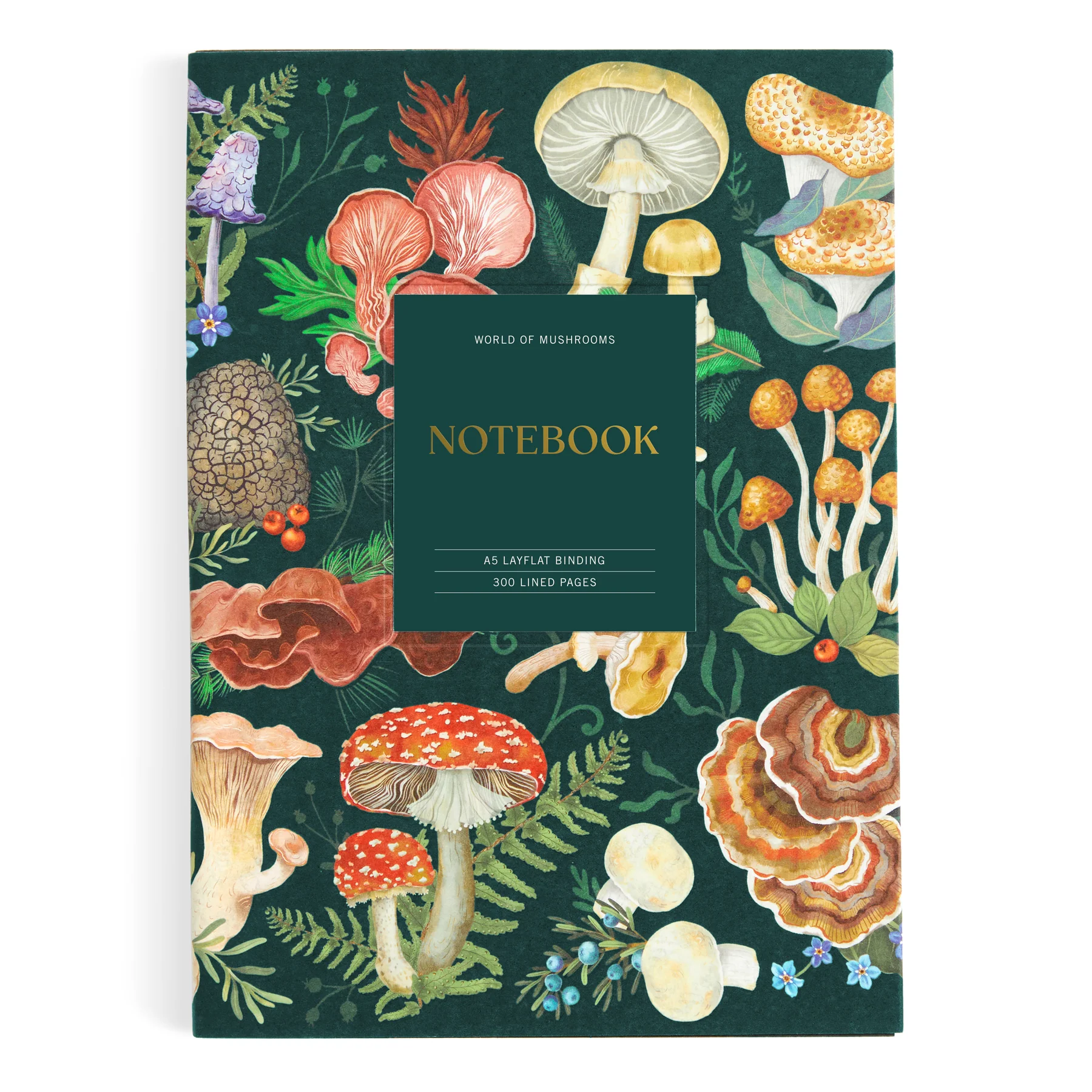 World of Mushrooms Premium A5 Notebook (Notebook/Sketchbook)