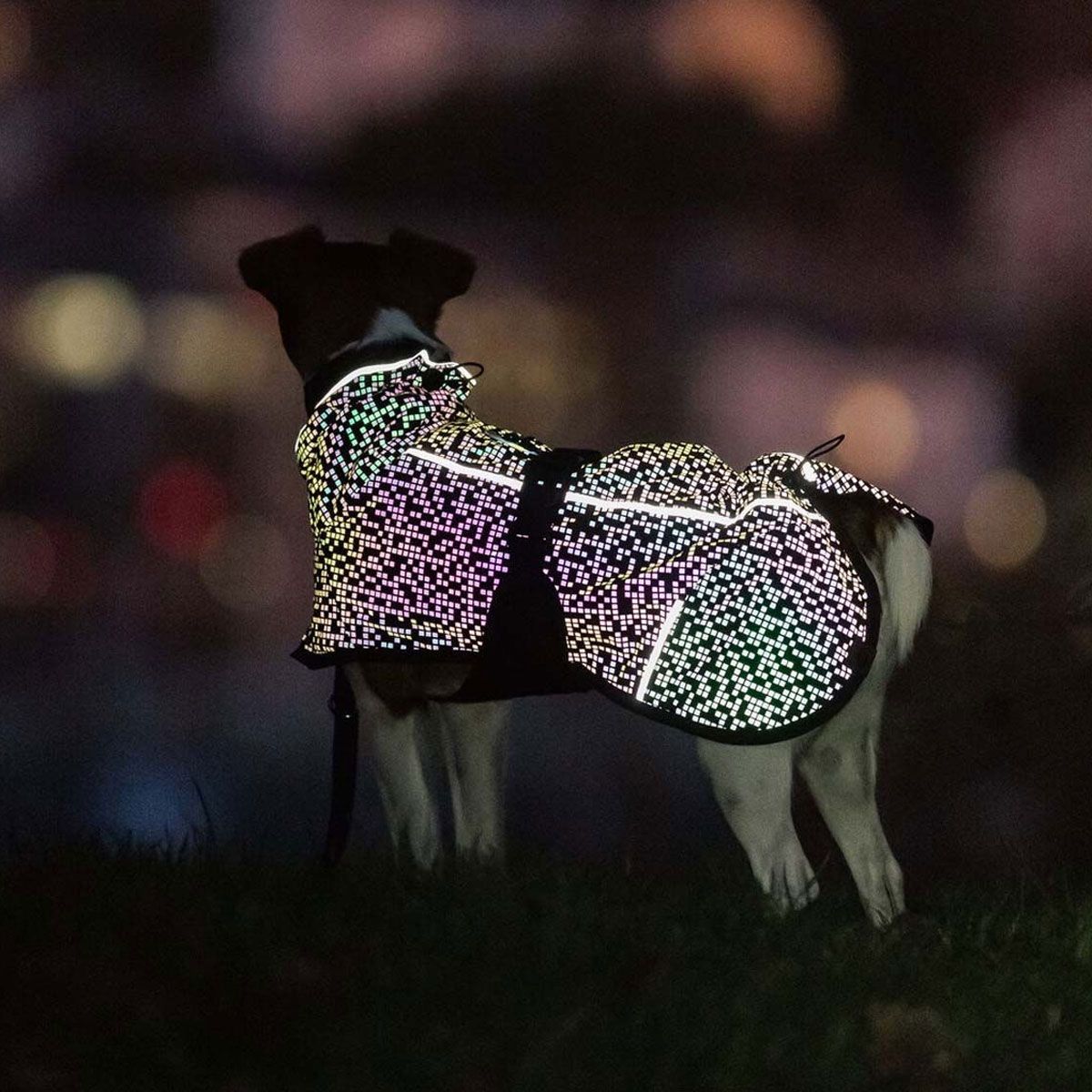 Limoux reflective blankets