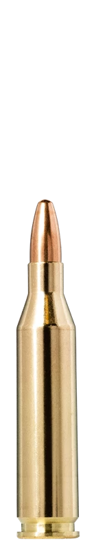 Norma Jaktmatch .243 Win 95gr / 6.2g