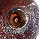 オイバ・トイッカ   Kinglet ガラスの鳥 オブジェ 置物 1983年  6cm