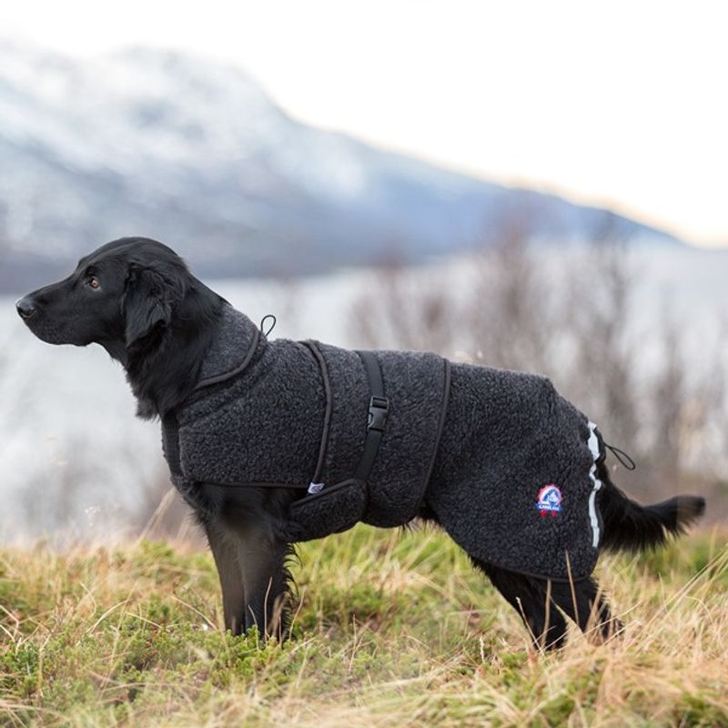 Canelana Hundtäcke i merinoull - Ambassadör st S/M terrier och XL 64 cm - 7