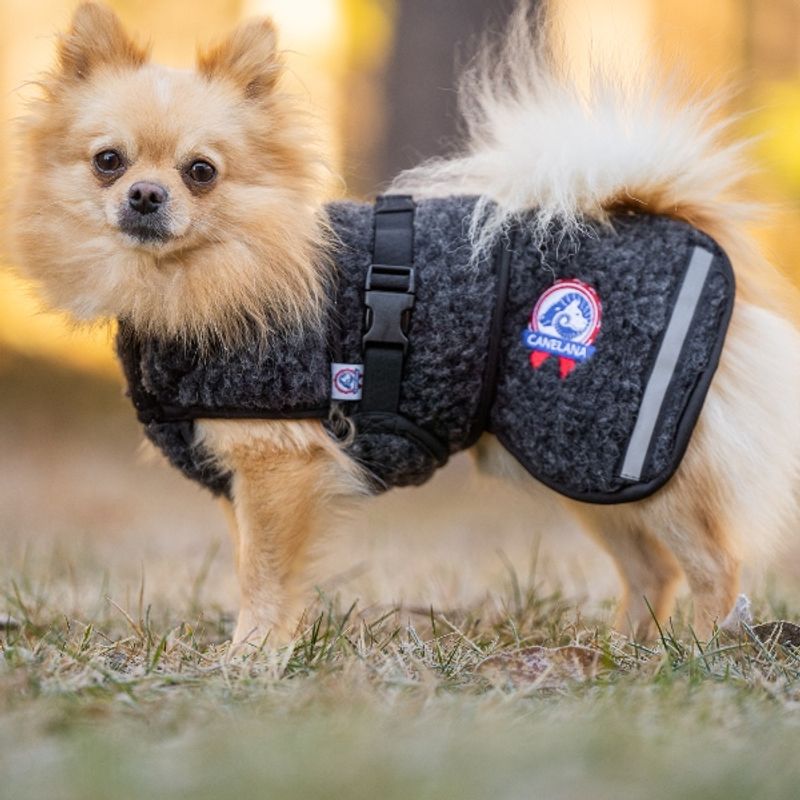 Canelana Hundtäcke i merinoull - Ambassadör st S/M terrier och XL 64 cm