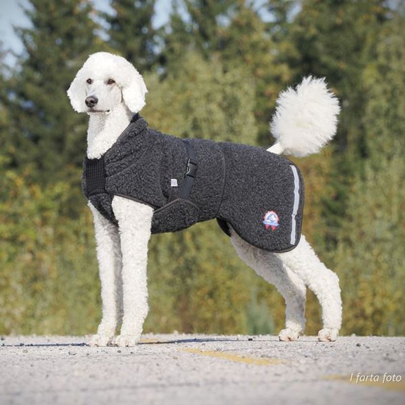 Canelana Hundtäcke i merinoull - Ambassadör st S/M terrier och XL 64 cm - 5