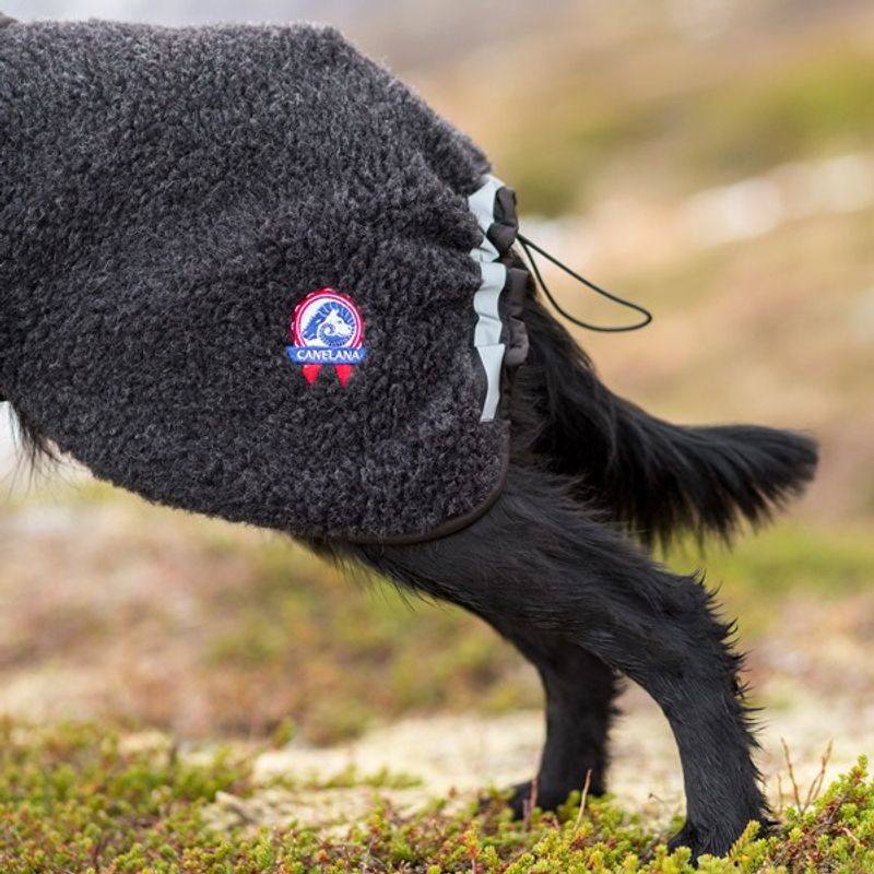 Canelana Hundtäcke i merinoull - Ambassadör st S/M terrier och XL 64 cm - 10
