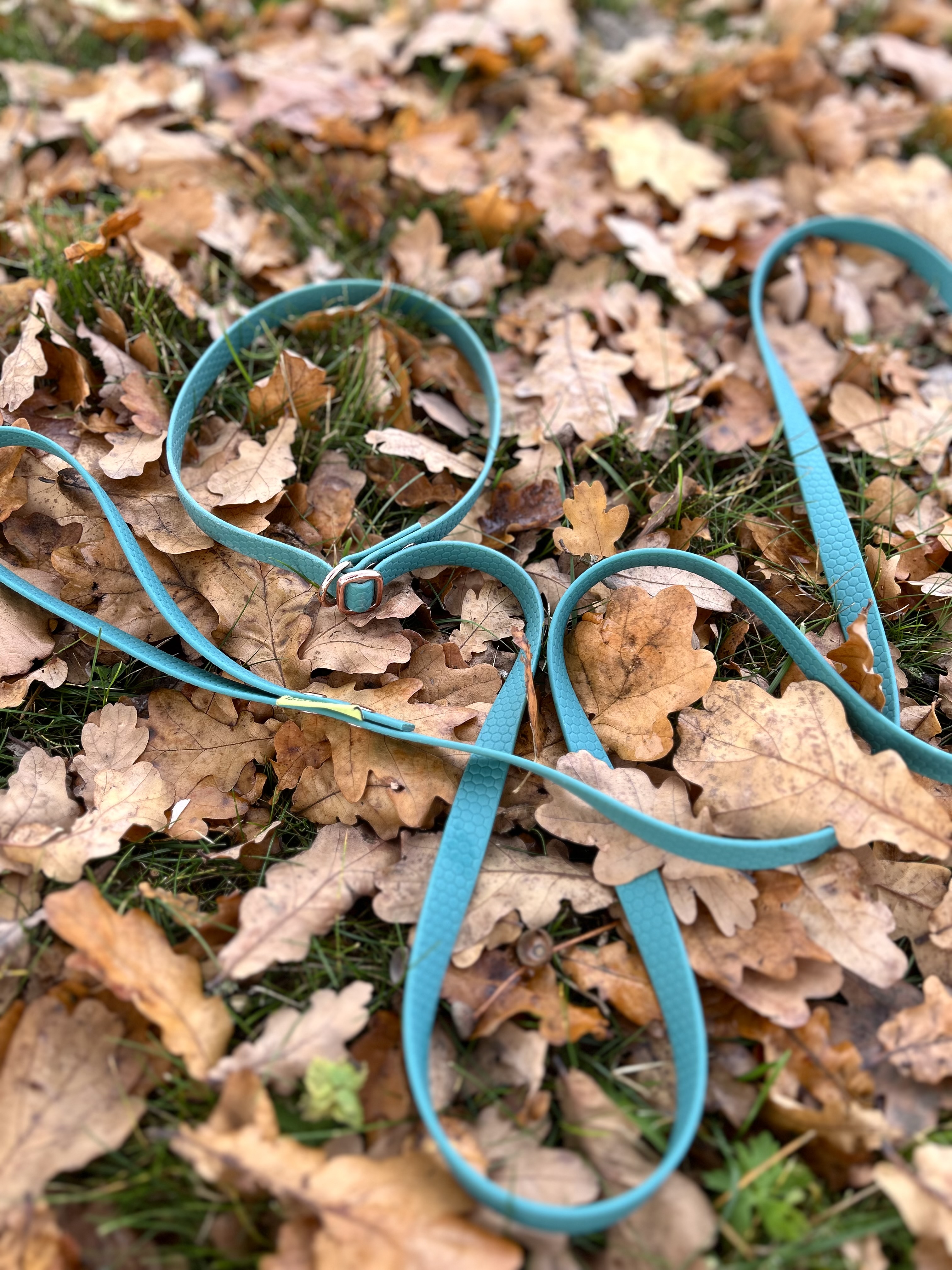 Hexa 16 mm Retrieverkoppel, bestäm egen längd 1,2m-5 m - 2