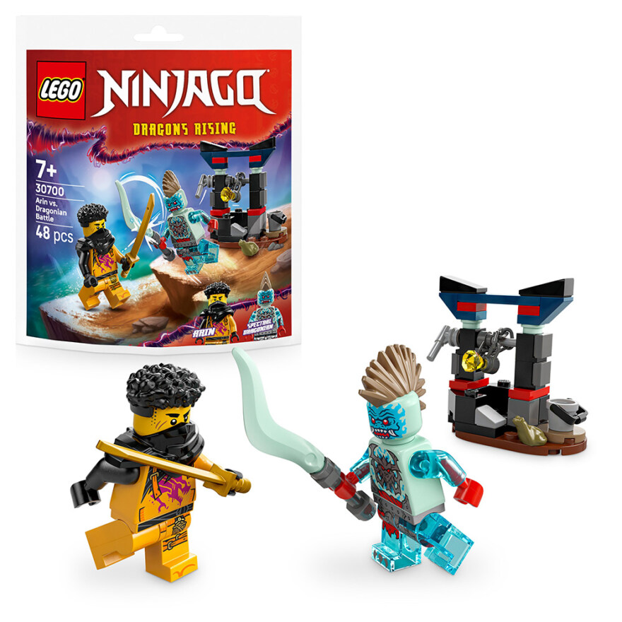 LEGO Ninjago 30700 Arins strid mot Dragonier - 2