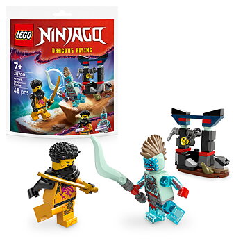 LEGO Ninjago 30700 Arins strid mot Dragonier
