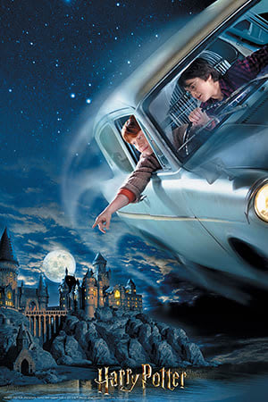 Prime 3D Pussel  Warner Harry Potter & Ron, 300 Bitar - 2