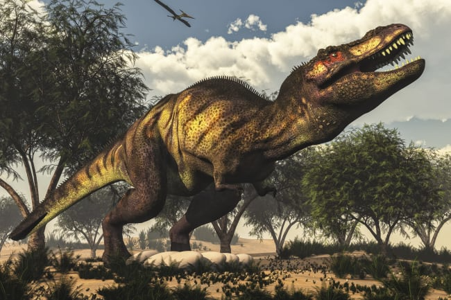 Prime 3D Pussel Tyrannosaurus Rex 150 Bitar - 2