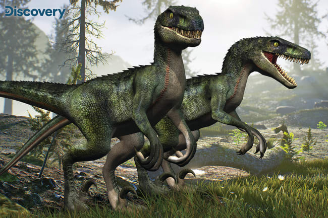 Prime 3D Pussel Velicoraptors 150 Bitar - 2