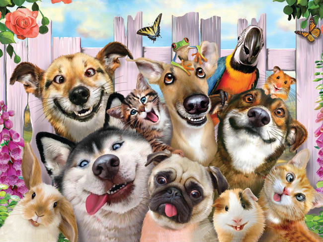 Prime 3D Pussel Howard Robinson Pet Selfie, 500 Bitar - 2