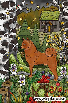 Vykort 10x15 cm Finsk spets vid jaktkojan