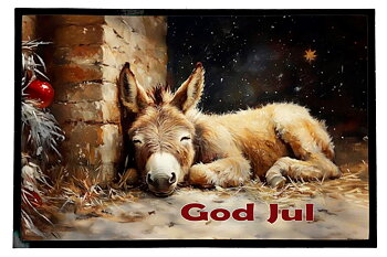 Dørmatte Jul 13