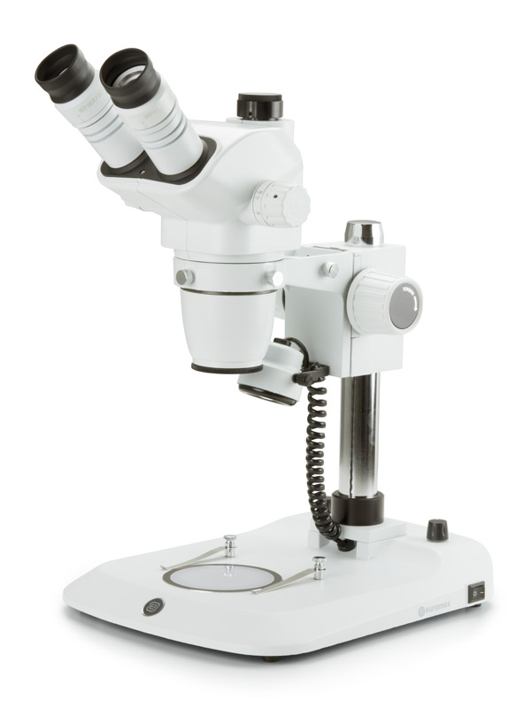 Euromex NexiusZoom NZ.1903-P-ESD trinokulär stereolupp 6,7–45×, ESD, LED