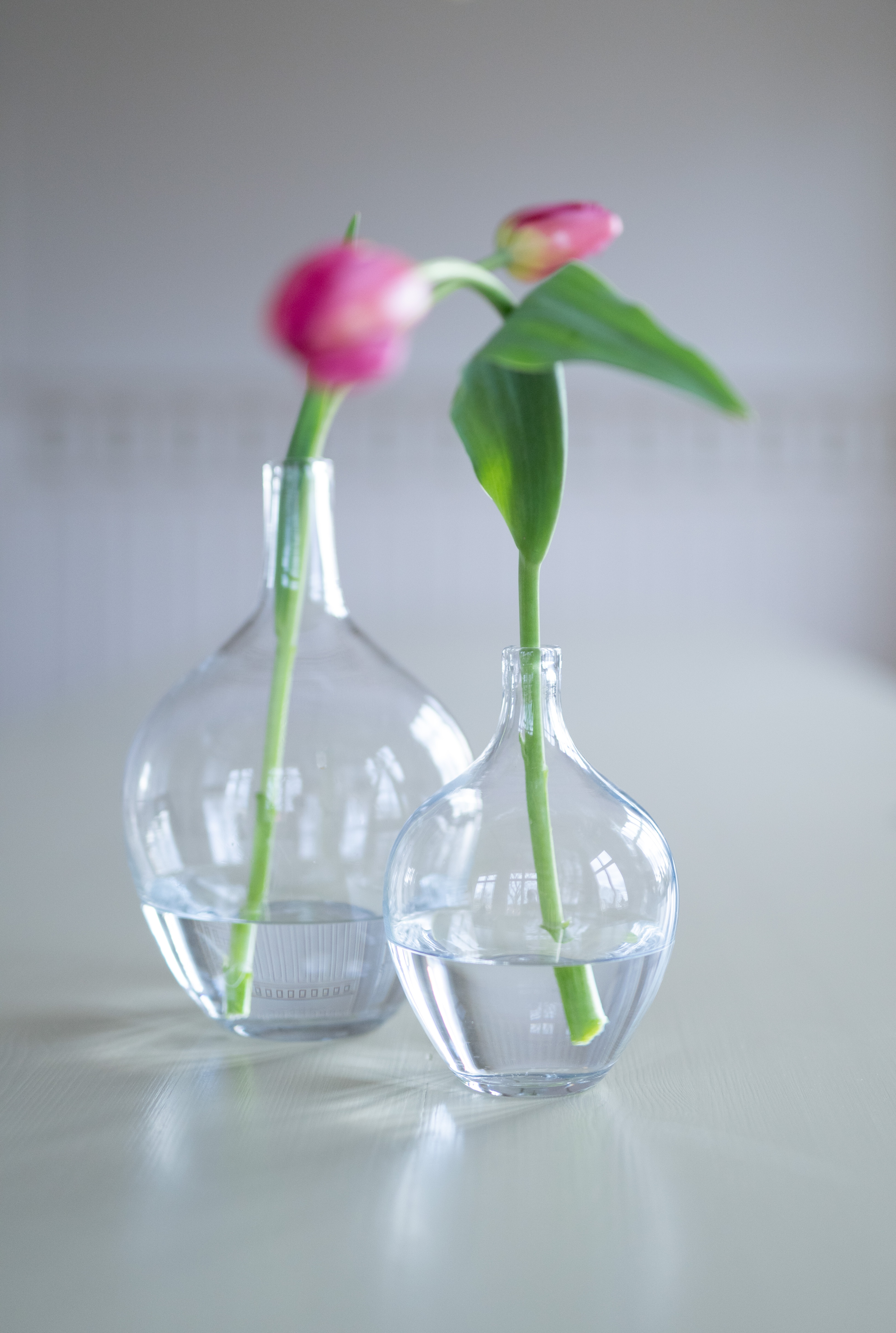 Mouth-blown glass vase - Damejeanne - Glass bottle - Clear - Large