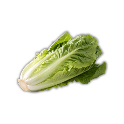 Sallad Roman EKO (Spanien) (Styck)