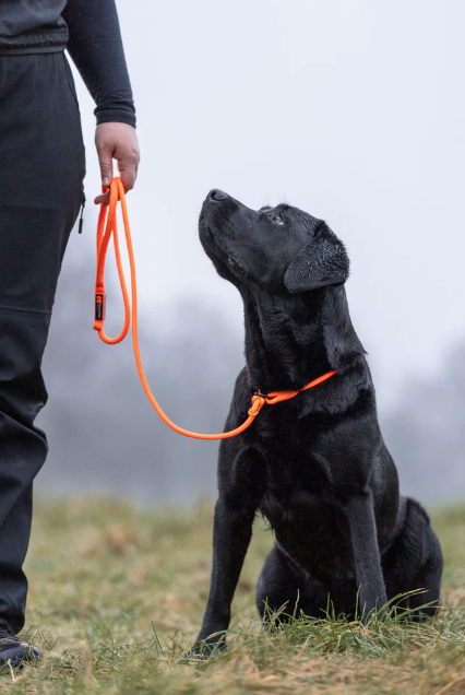 Non-Stop Retriever Leash Svart 1,6m/8mm - 3