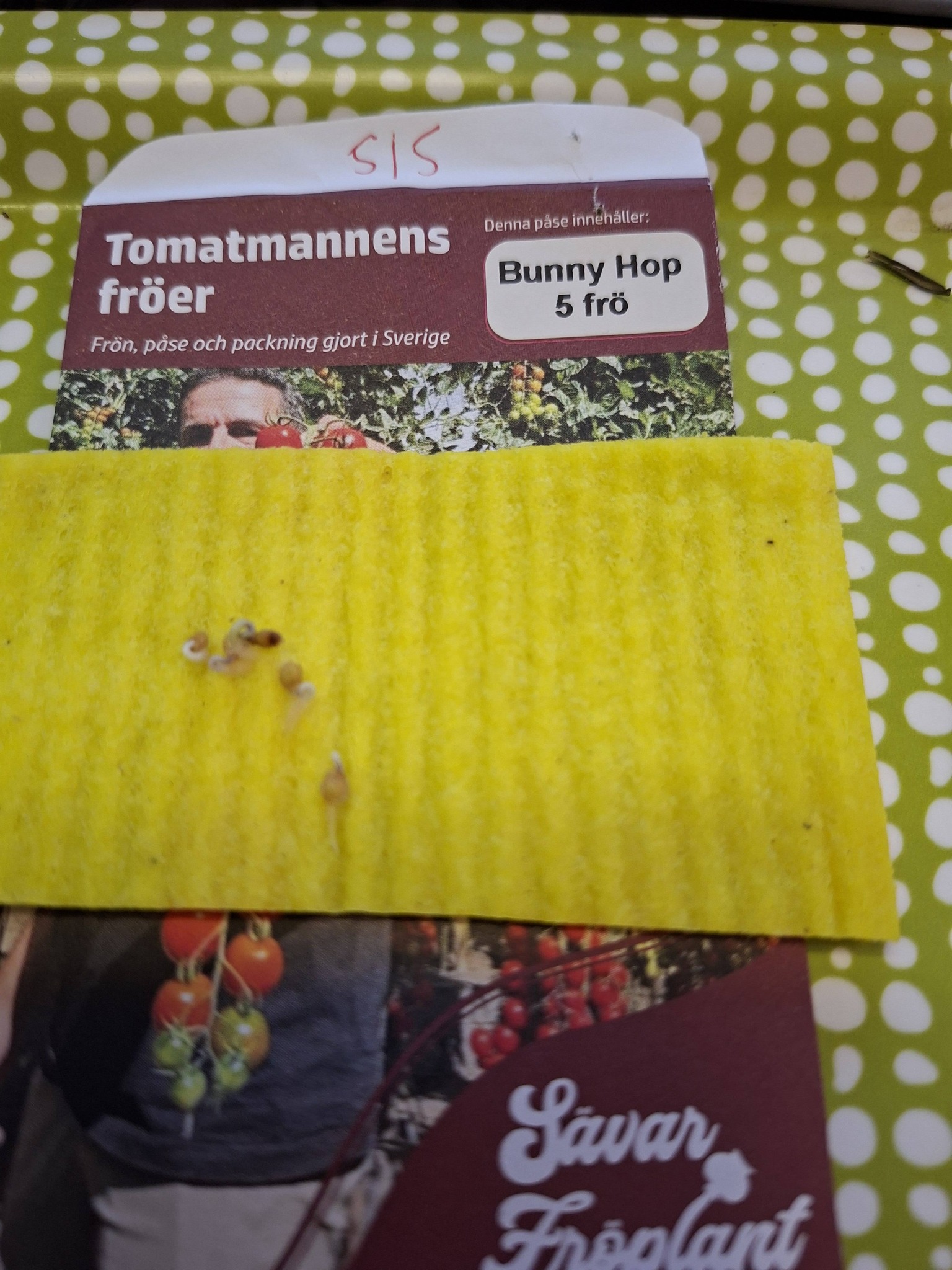 Tomatmannens Tomat Bunny Hop 5  frö Nyhet 2026! - 2