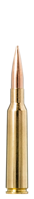 Norma Golden Target 6,5x55 8,4g / 130gr 2