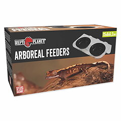 Repti Planet - Double Feeder 15x8x6cm