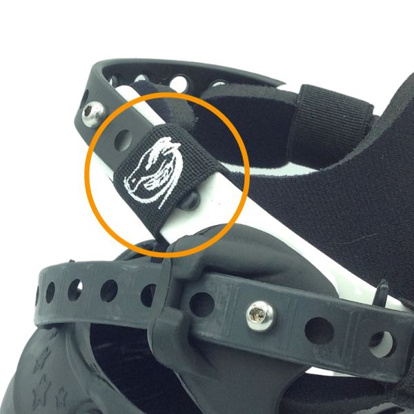 Explora Elasic Buckle -4 pack - 2
