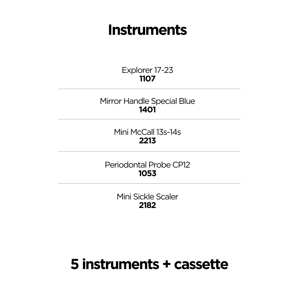 Basic Hygienist Kit, ErgoX - 2