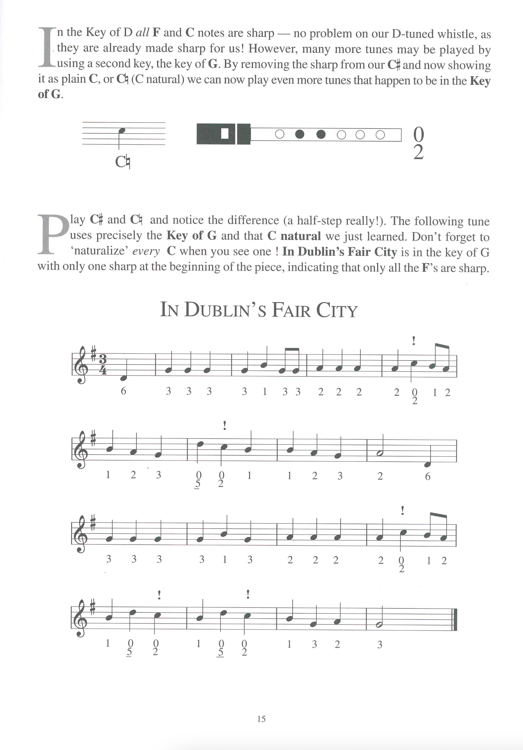 An Irish Whistle Book - 2