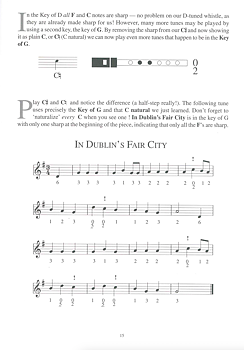 An Irish Whistle Book