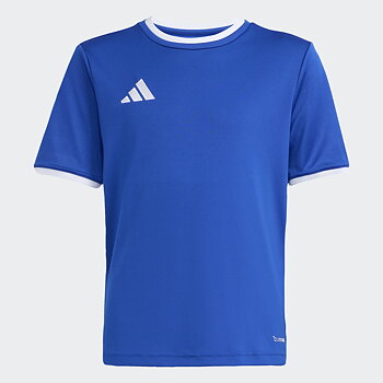 Adidas Ent26 Jsy Y (Tibro IBK)