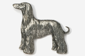 Pin Afghanhund